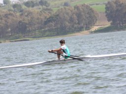 Naro 2012